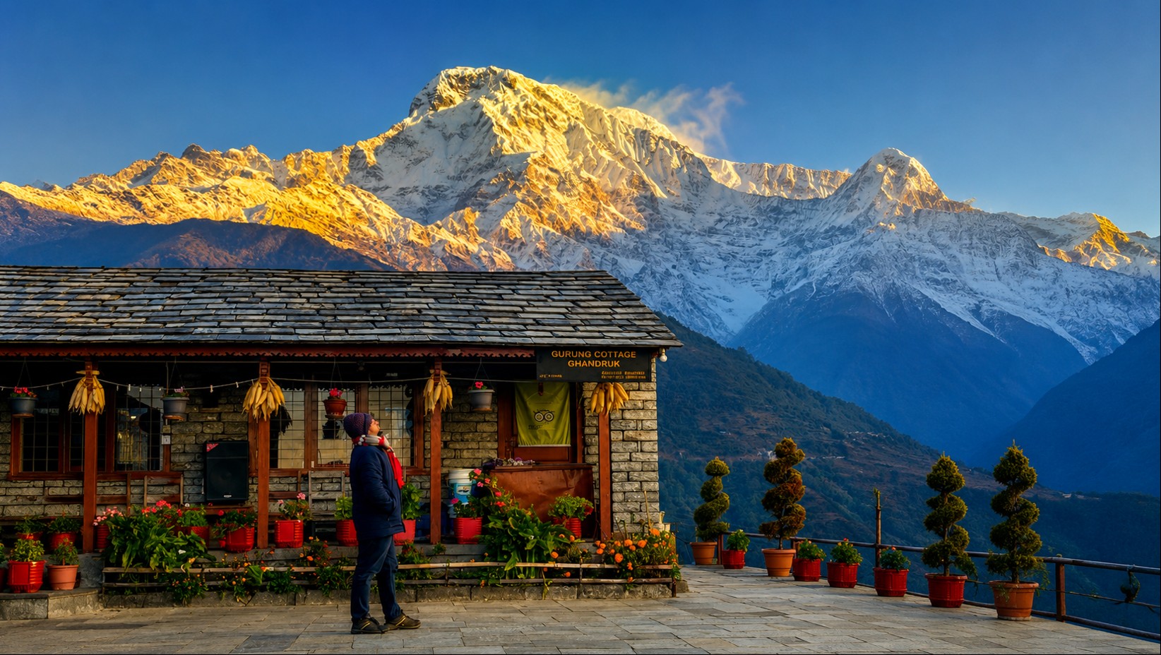 background-image